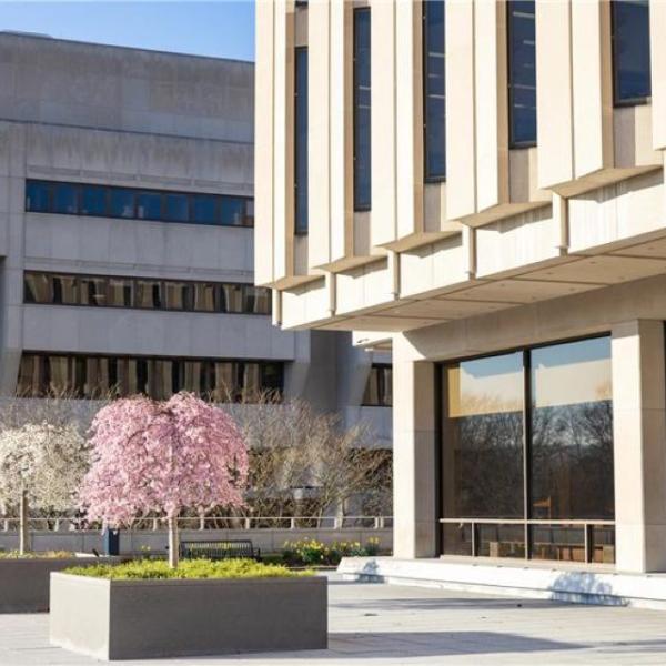 Hillman Library