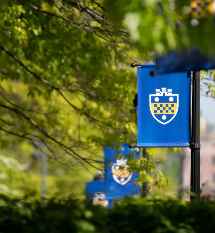 Pitt flags on lamp post