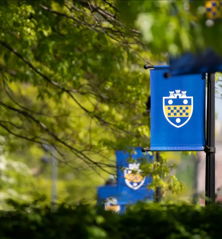 Pitt shield flag on light post