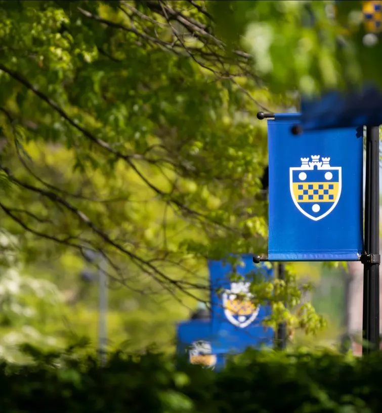 Pitt shield flag on light post