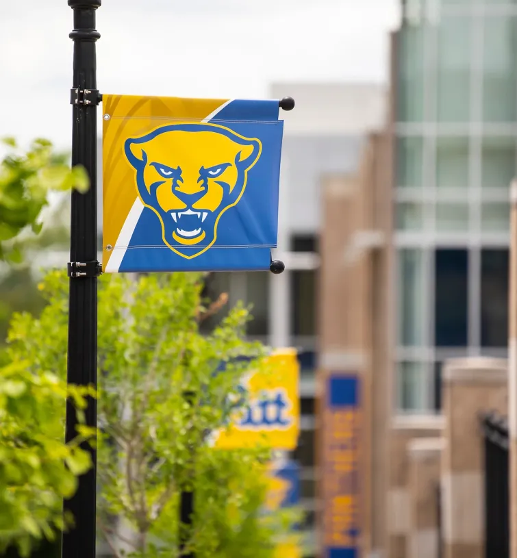 Pitt flags